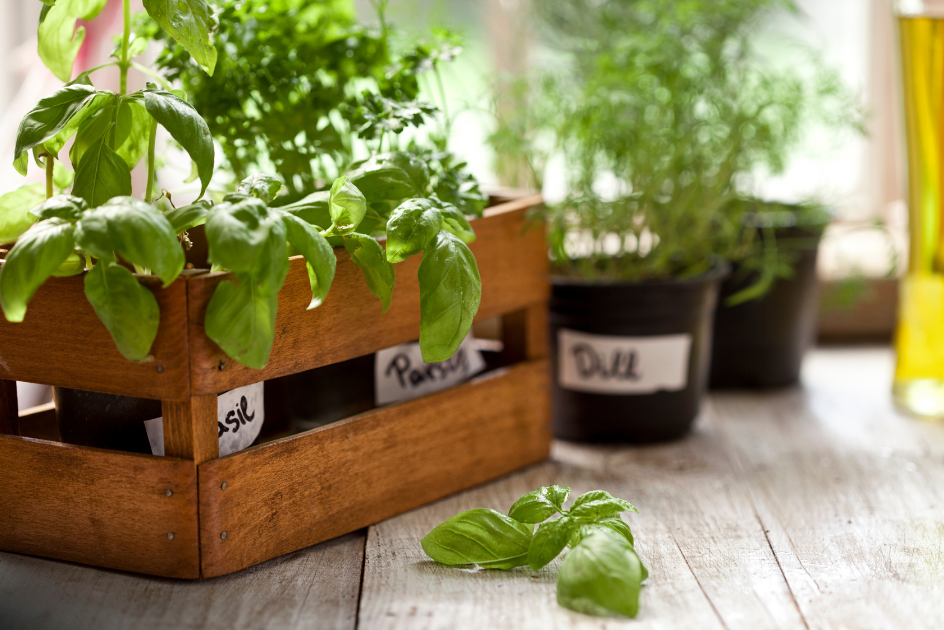 herbs in a wooden crate